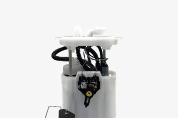 Fuel Pump Assembly